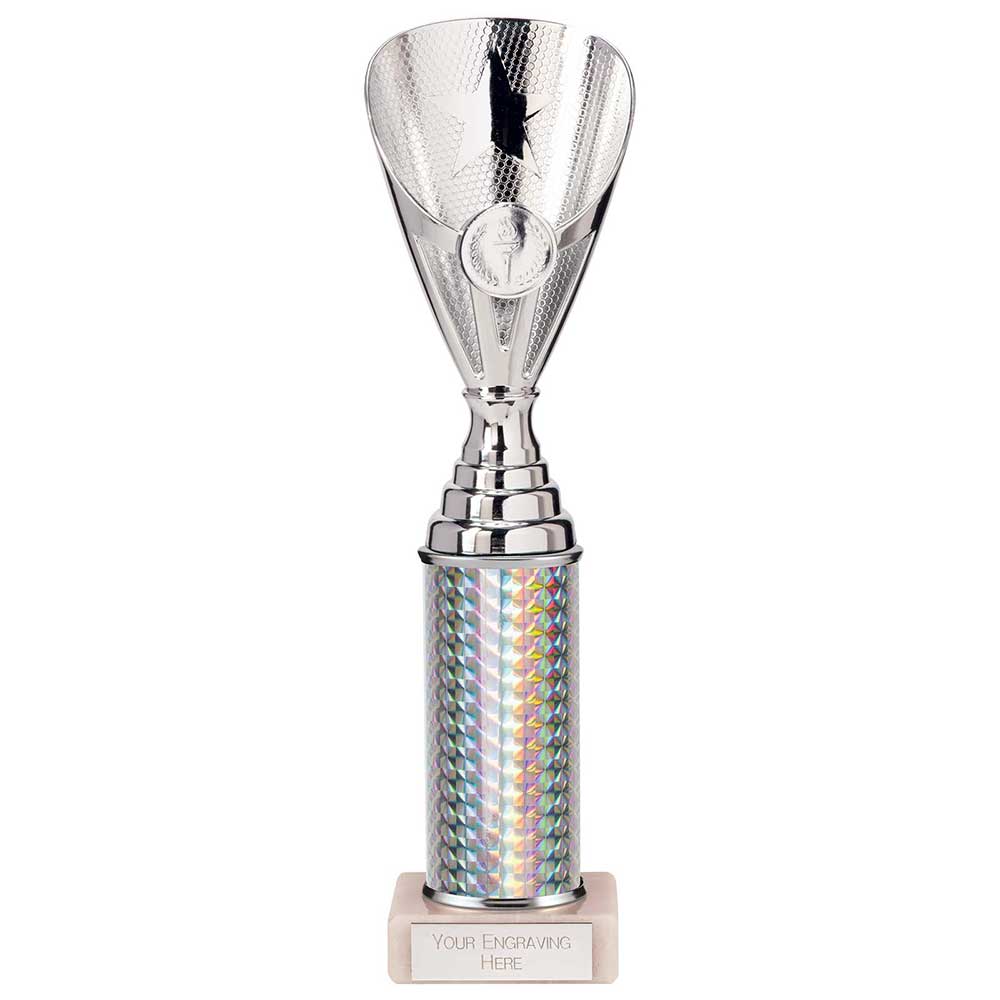 Rising Stars Plastic Trophy Silver 280mm