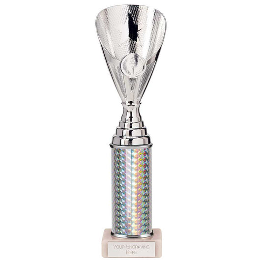 Rising Stars Plastic Trophy Silver 280mm