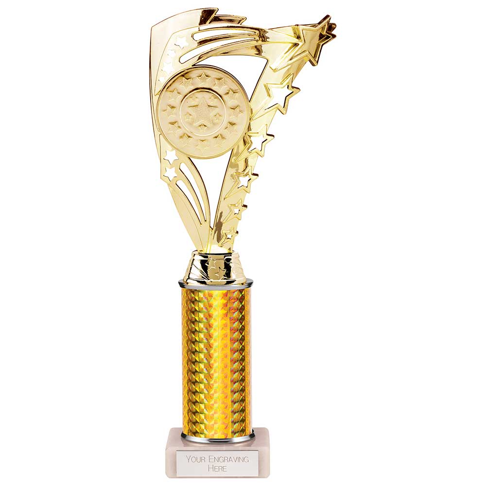 Frenzy Multisport Tube Trophy Gold 290mm