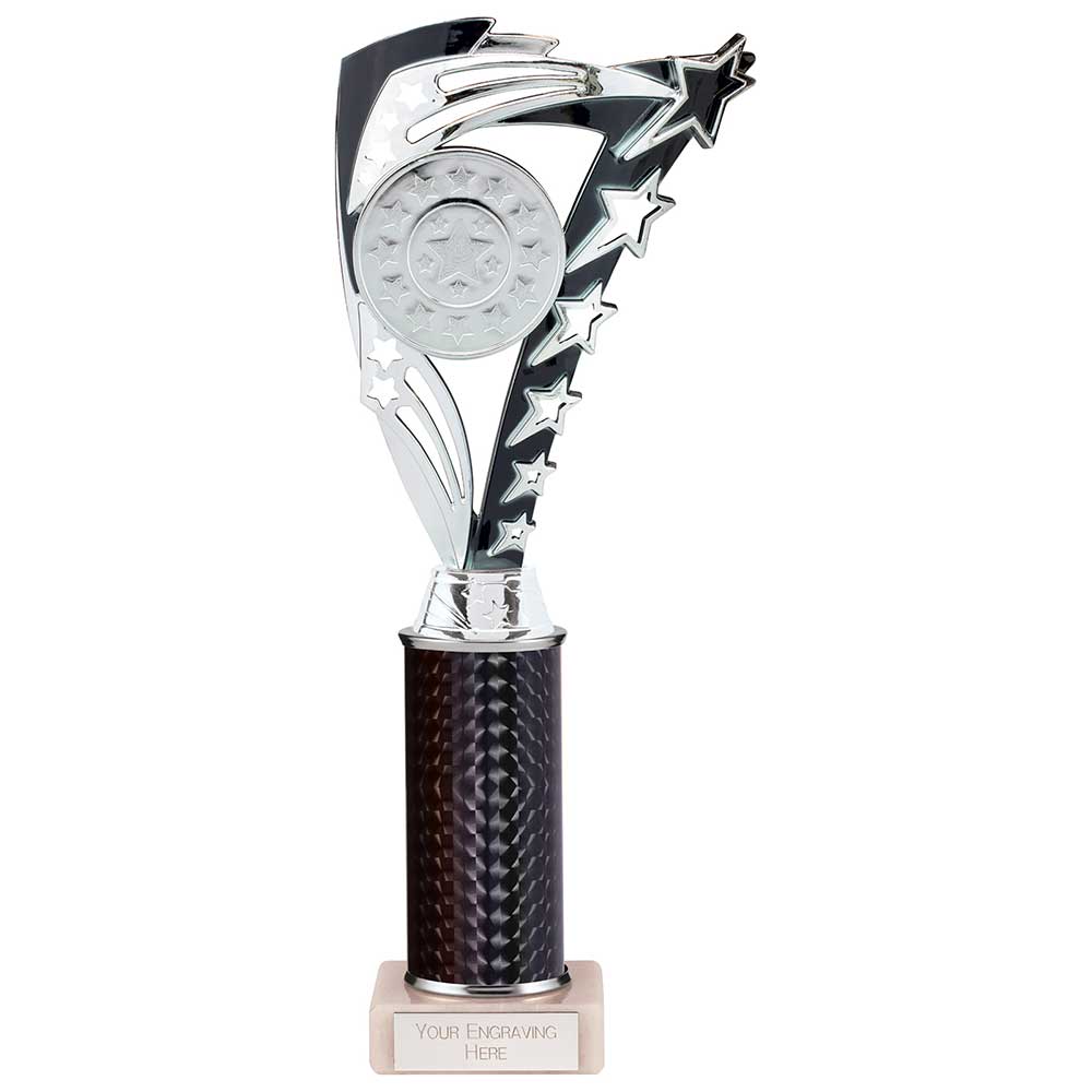 Frenzy Multisport Tube Trophy Silver & Black 290mm