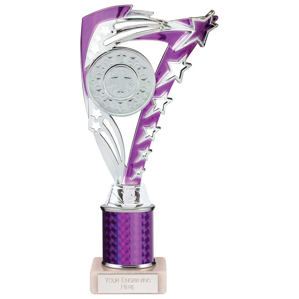 Frenzy Multisport Tube Trophy Silver & Purple 240mm