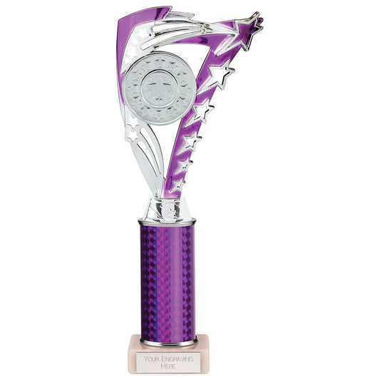 Frenzy Multisport Tube Trophy Silver & Purple 290mm