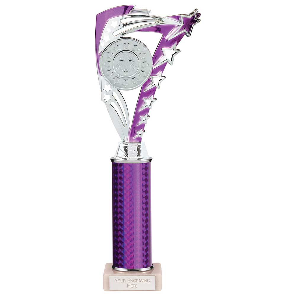 Frenzy Multisport Tube Trophy Silver & Purple 315mm