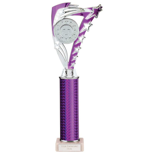 Frenzy Multisport Tube Trophy Silver & Purple 340mm