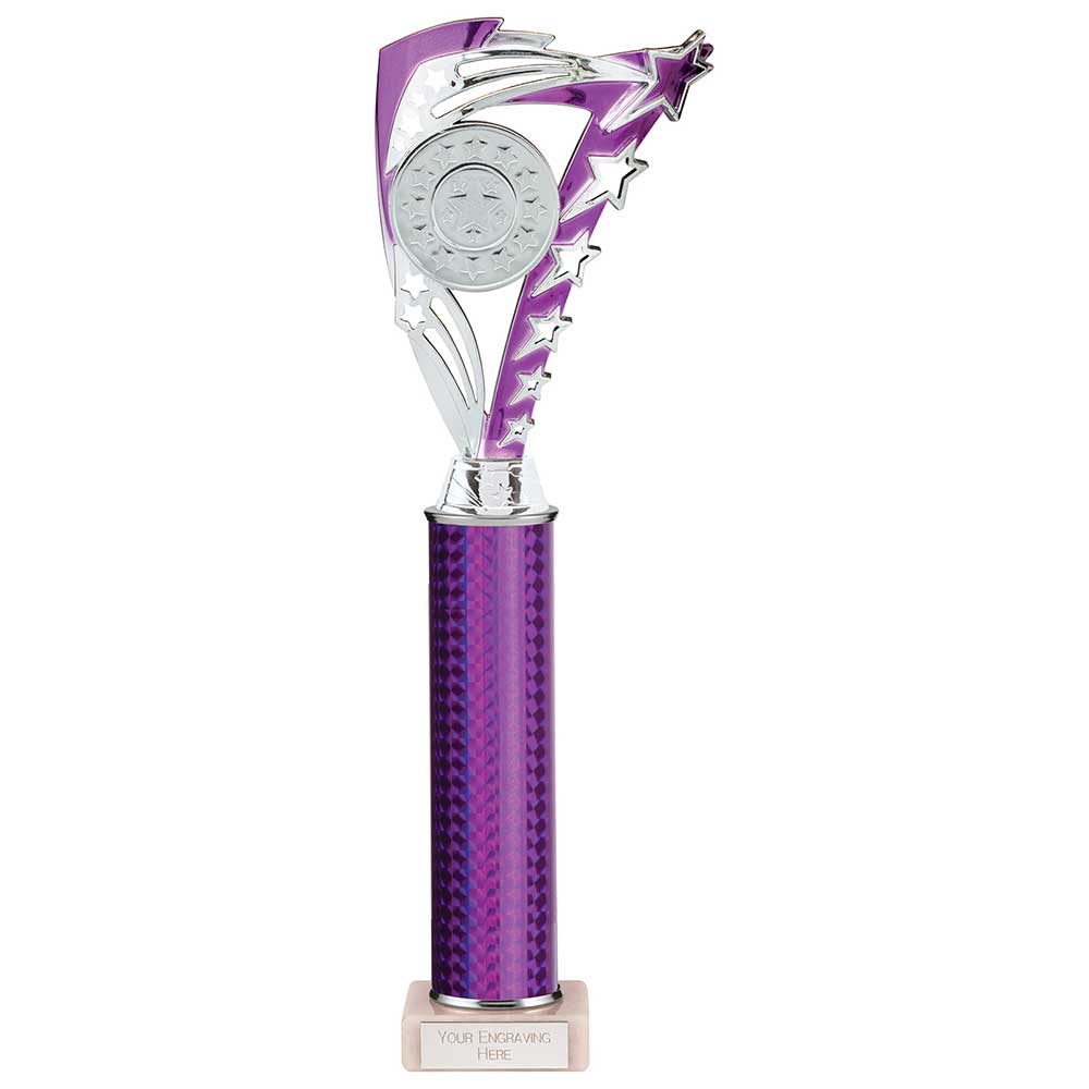 Frenzy Multisport Tube Trophy Silver & Purple 365mm